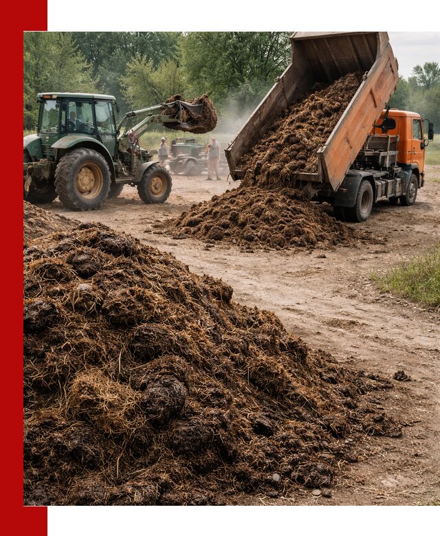 Доставка навоза самосвалами в Касимах для сельхозпотребностей