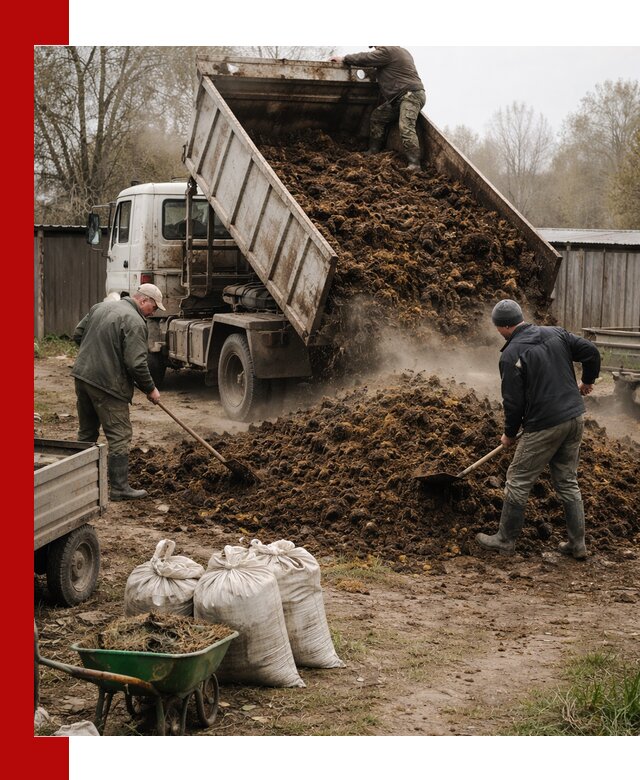 Доставка коровьего навоза самосвалом в Касимах